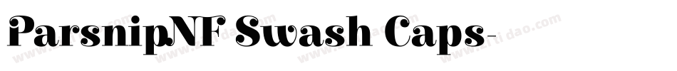ParsnipNF Swash Caps字体转换